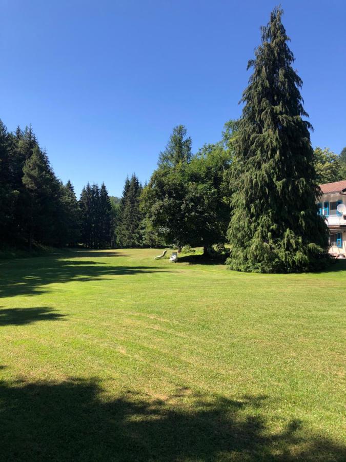 Agriturismo La Casa Nel Bosco Villa Boveglio Kültér fotó