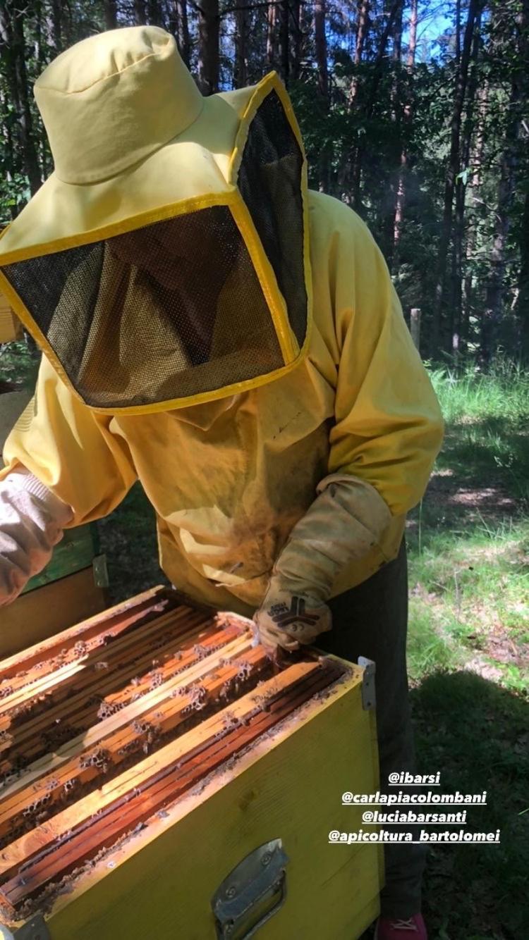 Agriturismo La Casa Nel Bosco Villa Boveglio Kültér fotó