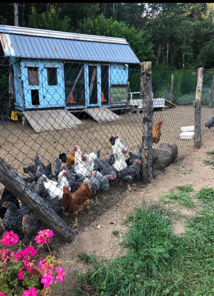 Agriturismo La Casa Nel Bosco Villa Boveglio Kültér fotó